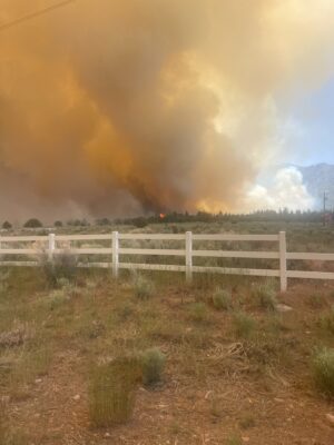 The Forsyth Fire burns in Pine Valley, Utah