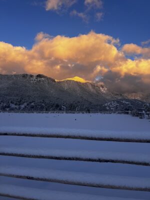 15CFB341-0586-4CC4-B6CF-C379043F5174_1_105_c